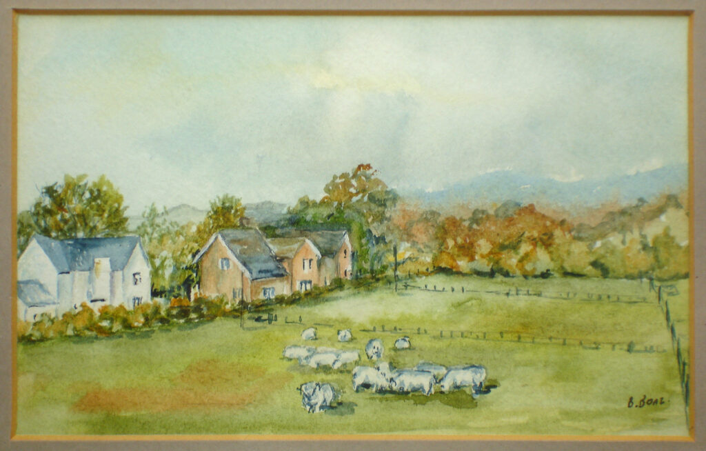 Sheep in the field by Barbara 'Bobbie' Boaz