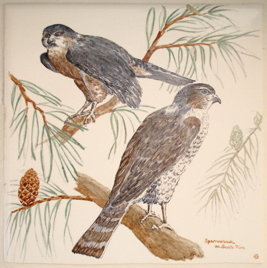 Sparrowhawk tile by Barbara 'Bobbie' Boaz