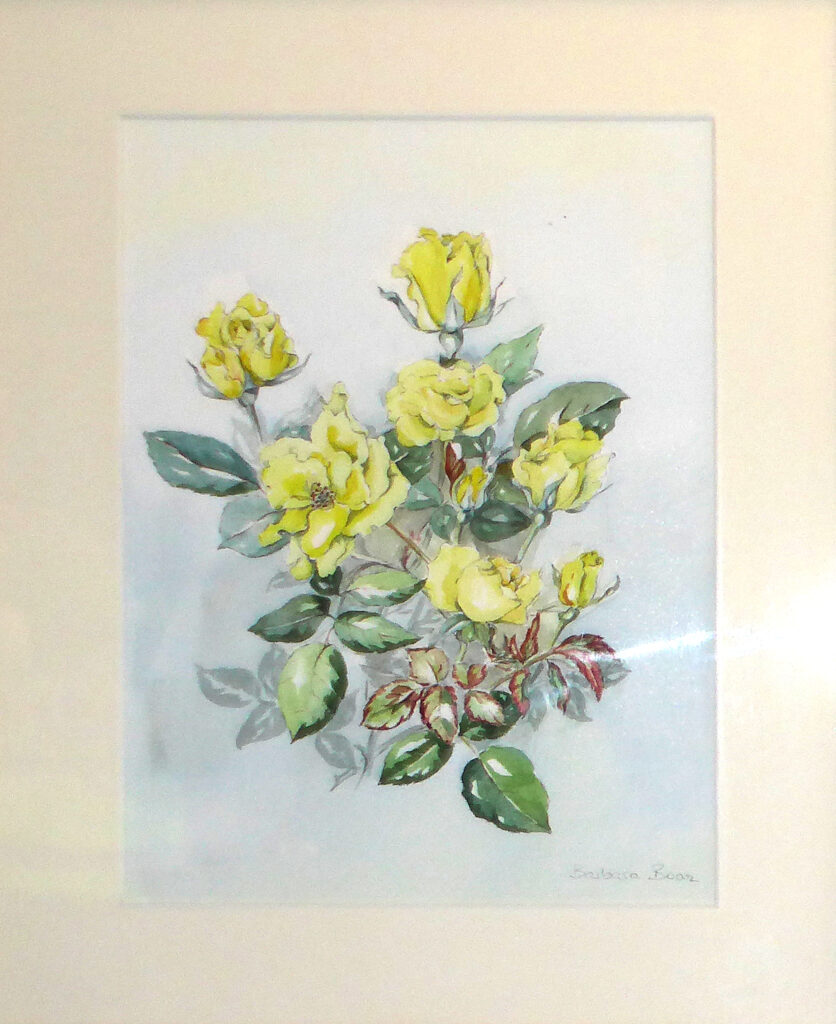 Yellow roses by Barbara 'Bobbie' Boaz