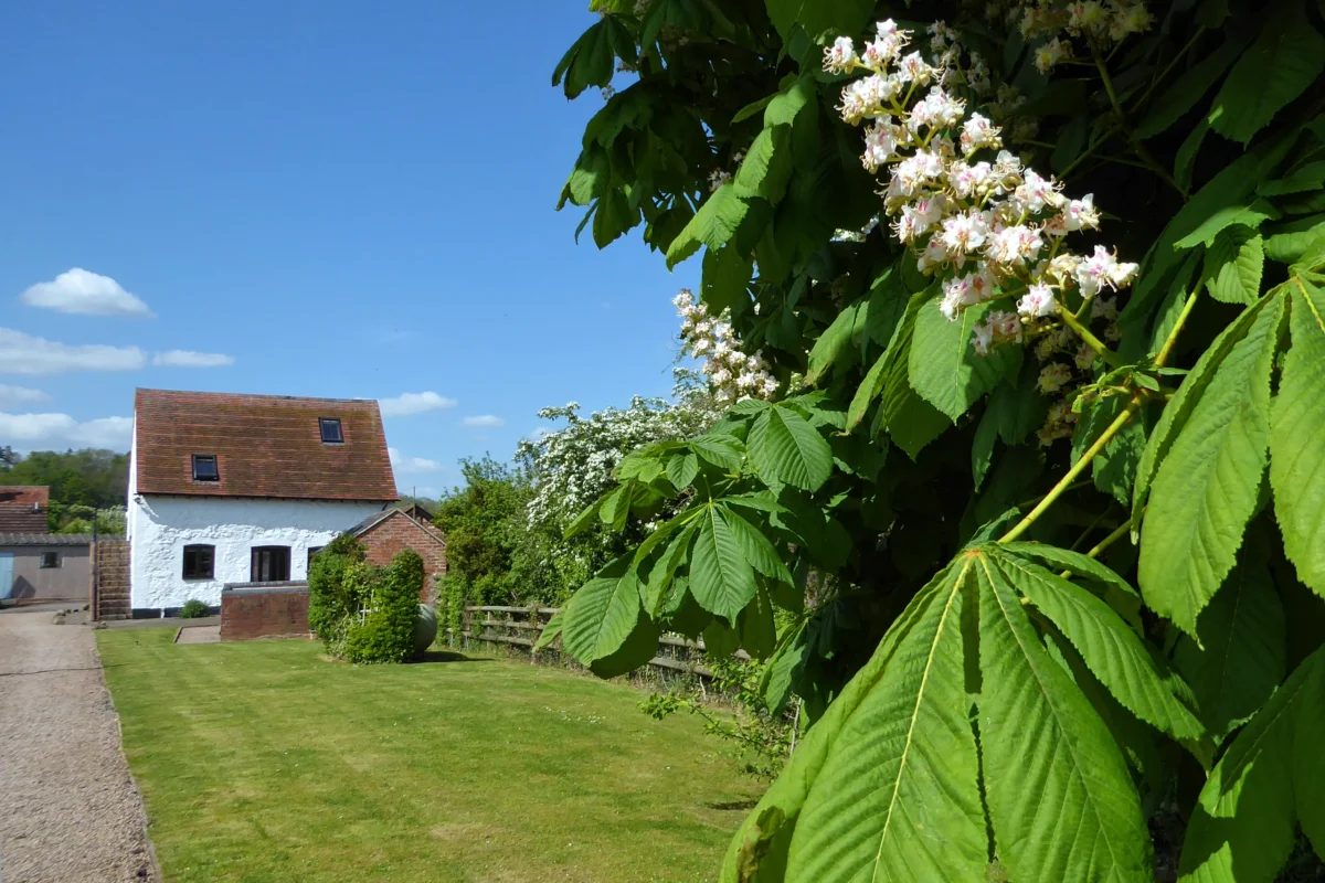 Rhydd Barn lawn looking towards the Barn