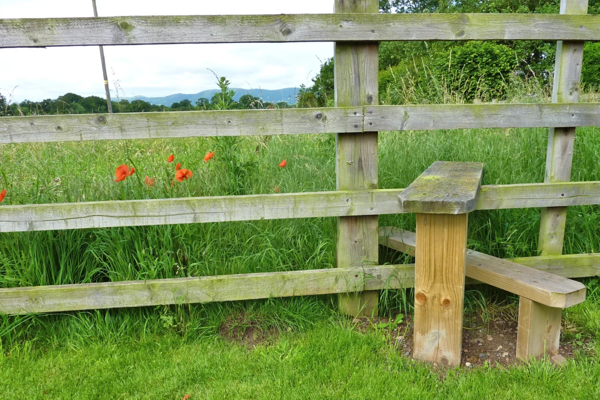 Rhydd barn - stile into our paddock with poppies