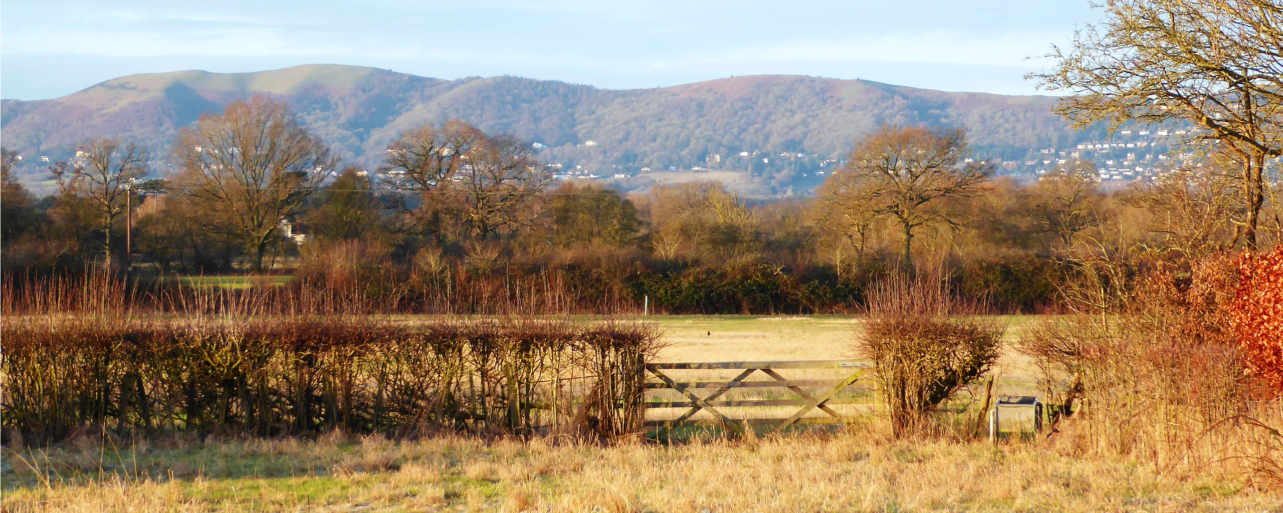 Malvern Hills view from Rhydd Barn in autumn